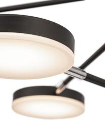 Grande suspension noire LED Fad, Noir, couleur argentée, beige, larg. 89 x haut. 62 cm