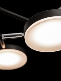 Grande suspension noire LED Fad, Noir, couleur argentée, beige, larg. 89 x haut. 62 cm