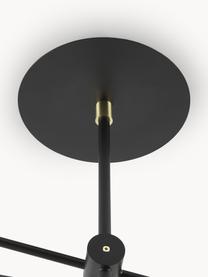 Lámpara de techo grande Neron, Negro, An 173 x F 170 cm