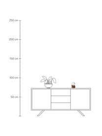 Kleine Tischlampe Len mit Touch-Funktion, Lampenschirm: Opalglas, Lampenfuß: Metall, beschichtet, Dunkelbraun, Opalweiß, Ø 10 x H 16 cm