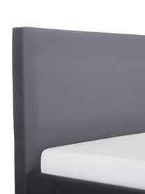Letto imbottito in velluto grigio scuro Peace, Rivestimento: velluto di poliestere 290, Piedini: metallo verniciato a polv, Tessuto grigio scuro, 180 x 200 cm