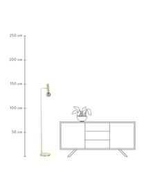 Lampada da lettura con paralume in vetro Wilson, Paralume: vetro, metallo, Base della lampada: metallo ottonato, Ottonato, Larg. 28 x Alt. 151 cm