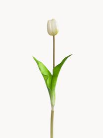 Tulipes artificielles Savona, 4 pièces, Plastique, Blanc, vert, long. 36 cm