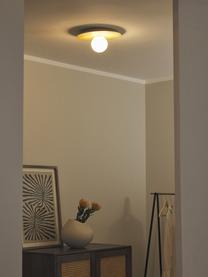 Lampada da parete e soffitto Starling, Paralume: vetro opale, Marrone chiaro, bianco, Ø 33 x Prof. 14 cm