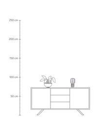 Lámpara de mesa pequeña LED Albero, Pantalla: vidrio, Plateado, gris claro, Ø 13 x Al 25 cm