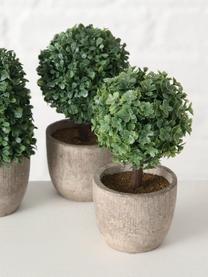 Künstliches Topfpflanzen-Set Tracy, 3-tlg., Kunststoff, Grün, Grau, Ø 7 x H 14 cm