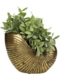 Plantenpot Shell, 15% polyresin, 35% acryl, 25% polyester, 25% kwartszandvulling, Goudkleurig, B 25 cm x H 19 cm