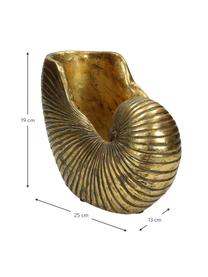 Macetero Shell, Poliresina, Dorado, An 25 x Al 19 cm