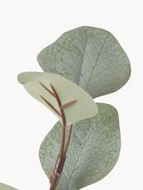 Branche décorative Eucalyptus, Plastique, Brun, vert sauge, long. 69 cm