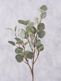Dekorace Eukalyptus, Umělá hmota, Hnědá, šalvějově zelená, D 69 cm