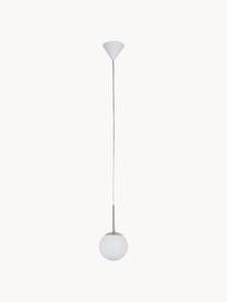 Lampada a sospensione in vetro opale Cafe, Paralume: bianco, Decorazione: metallo, Baldacchino: plastica, Bianco, argentato, Ø 20 x Alt. 33 cm