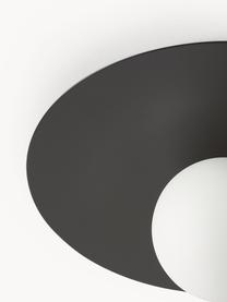 Wand- und Deckenleuchte Starling, Lampenschirm: Opalglas, Schwarz, Weiß, Ø 33 x T 14 cm