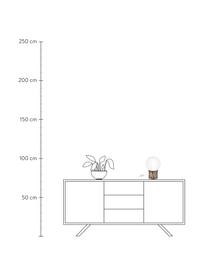 Kleine dimbare tafellamp Atmosfera in brons, Lampenkap: methacrylaat, Lampvoet: methacrylaat, Pewterflex, Bronskleurig, wit, 20 x 30 cm