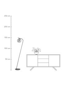 Moderná stojacia lampa so skleneným tienidlom Amos, Čierna, priehľadná, Ø 20 x V 150 cm