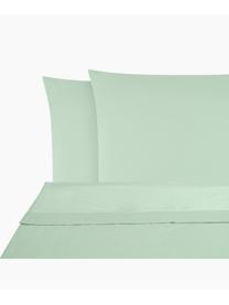 Drap plat en satin de coton Comfort, Vert sauge, 180 x 300 cm