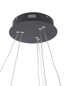 Große LED-Pendelleuchte Orion, Lampenschirm: Metall, beschichtet, Baldachin: Metall, beschichtet, Schwarz, Ø 60 cm