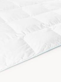 Donzen cassette-dekbed Comfort, licht, Licht, B 200 x L 200 cm