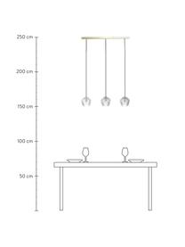 Lámpara de techo de vidrio Orbiform, Pantalla: vidrio, Anclaje: metal recubierto, Cable: cubierto en tela, Latón, gris transparente, An 71 x Al 15 cm