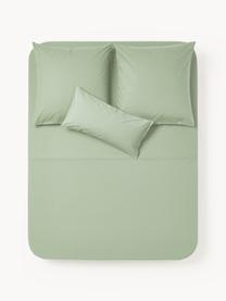 Sábana encimera de percal Elsie, Verde salvia, Cama 150/160 cm (240 x 280 cm)