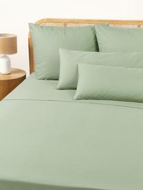 Sábana encimera de percal Elsie, Verde salvia, Cama 150/160 cm (240 x 280 cm)