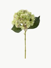 Fleur artificielle Hortensie, Plastique, polyester, métal, Tons verts, long. 36 cm