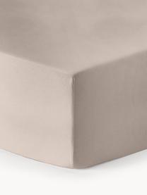 Boxspring-Spannbettlaken Biba, Flanell, Webart: Flanell, Beige, B 200 x L 200 cm, H 35 cm