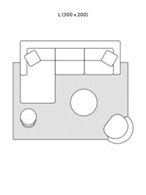 Flachgewebter Baumwollteppich Louisa, Flor: 85 % Baumwolle, 15 % Poly, Goldbraun, Silberfarben, B 200 x L 300 cm (Grösse L)