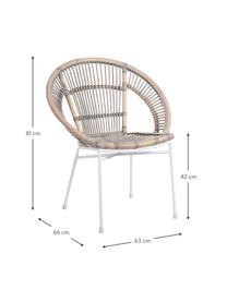 Sedia in rattan Carla, Piedini: metallo verniciato, Beige, Larg. 63 x Prof. 66 cm