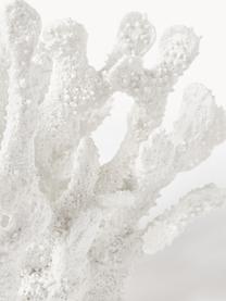 Oggetto decorativo di design Coral, Poliresina, Bianco, Larg. 22 x Alt. 17 cm