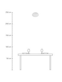 Kleine Deckenleuchte Clam aus Glas, Lampenschirm: Glas, Baldachin: Stahl, beschichtet, Weiß, Ø 30 x H 12 cm