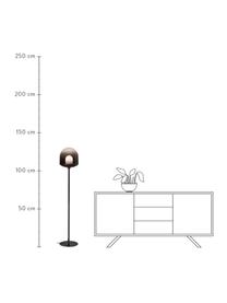 Kleine Stehlampe Magia aus Glas, Lampenschirm: Glas, Lampenfuß: Metall, beschichtet, Schwarz, Ø 25 x H 131 cm