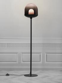 Lampada da terra in vetro Magia, Paralume: vetro, Base della lampada: metallo rivestito, Nero, Ø 25 x Alt. 131 cm