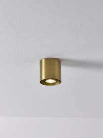 Faretto da soffitto Roda, Metallo verniciato a polvere, Dorato lucido, Ø 10 x Alt. 10 cm