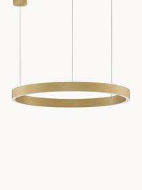 Große dimmbare LED-Pendelleuchte Elowen, verschiedene Größen, Goldfarben, Ø 60 x H 5 cm