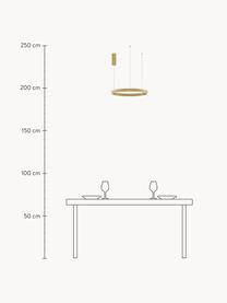 Lámpara de techo grande LED regulable Elowen, tamaños diferentes, Dorado, Ø 60 x Al 5 cm