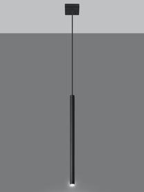 Lámpara de techo artesanal Fideus, Cable: plástico, Negro, Ø 2 x Al 50 cm