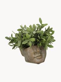 Betonnen plantenpot Face met antieke afwerking, Beton, Goudkleurig met antieke afwerking, B 17 x H 12 cm