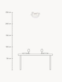 Ručně foukané skleněné stropní svítidlo Gross, Transparentní, Ø 50 cm, V 27 cm