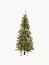 Decoratieve kerstboom Colchester, Kunststof (PVC), Groen, Ø 84 x H 185 cm