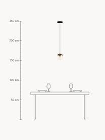 Lampada a sospensione in vetro Acorn, Baldacchino: materiale sintetico, Ramato, ambrato, Ø 14 x Alt. 16 cm