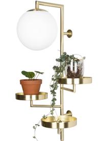 Wandlamp Cal met stekker, Frame: messing, Lampenkap: opaalglas, Messingkleurig, 30 x 62 cm