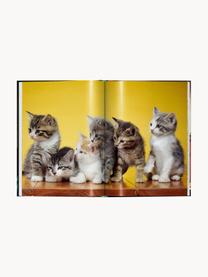 Libro ilustrado Cats. Photographs 1942–2018, Papel, tapa dura, Cats. Photographs 1942–2018, An 14 x Al 20 cm