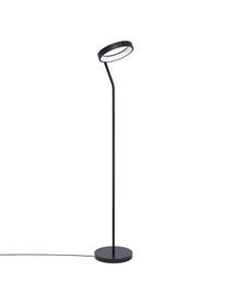 Dimmbare LED-Leselampe Marghera, Lampenschirm: Stahl, beschichtet, Schwarz, B 31 x H 169 cm