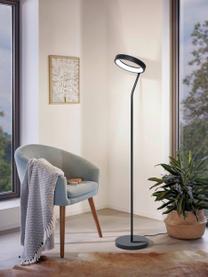 Dimbare LED leeslamp Marghera, Lampenkap: gecoat staal, Diffuser: kunststof, Zwart, B 31 cm x H 169 cm