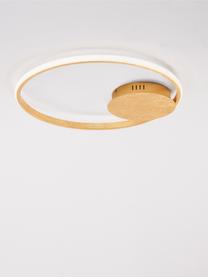 Dimmbare LED-Deckenleuchte Fuline, Lampenschirm: Metall, Baldachin: Metall, Diffusorscheibe: Acryl, Goldfarben, Ø 50 x H 5 cm