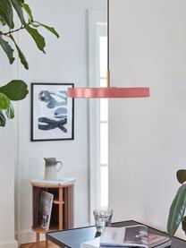 Suspension LED design Asteria, Rose