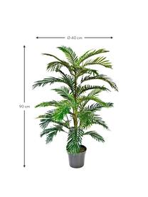 Planta artificial Areca, Poliéster, Verde, Ø 40 x Al 90 cm