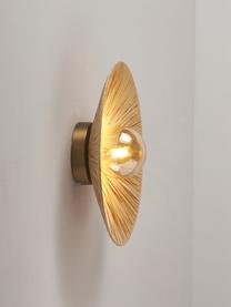 Design wandlamp Zailo, Lampenkap: glas, Goudkleurig, Ø 35 x H 14 cm