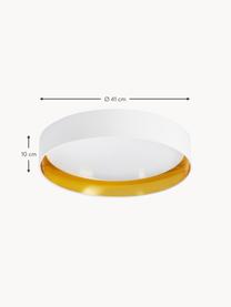 Plafoniera a LED Mallory, Disco diffusore: plastica, Bianco, Ø 41 x Alt. 10 cm