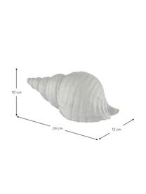 Dekoracja Serafina Shell, Tworzywo sztuczne, Biały, S 24 x W 10 cm